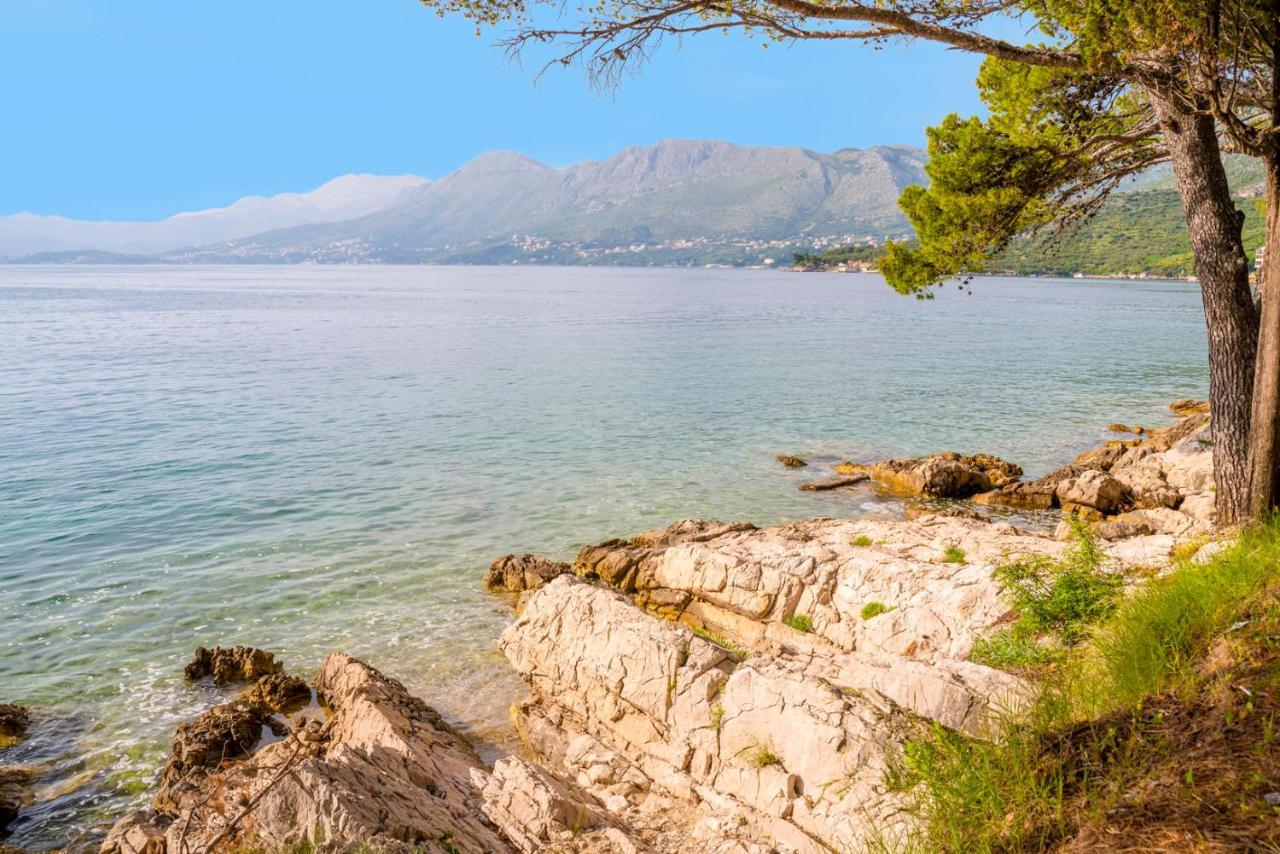 Cavtat - Panoramic Sea View Lägenhet Exteriör bild