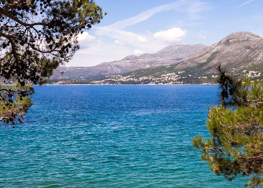 Cavtat - Panoramic Sea View Lägenhet Exteriör bild