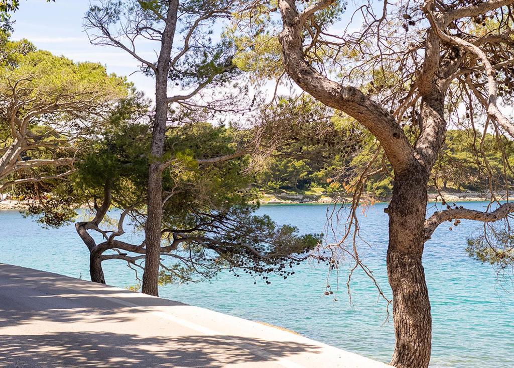 Cavtat - Panoramic Sea View Lägenhet Exteriör bild